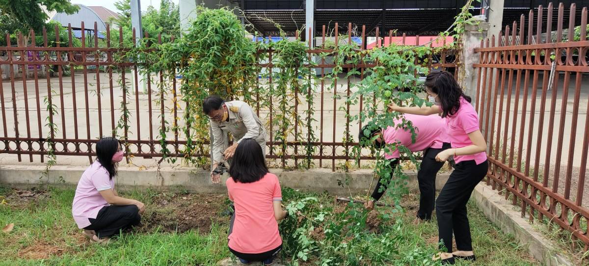 ﻿สำนักงานบังคับคดีจังหวัดพิษณุโลก จัดกิจกรรมปลูกต้นไม้ประจำปีของชาติ